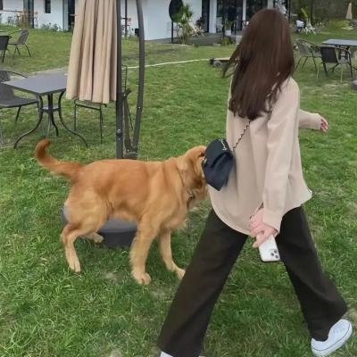 付之成灰